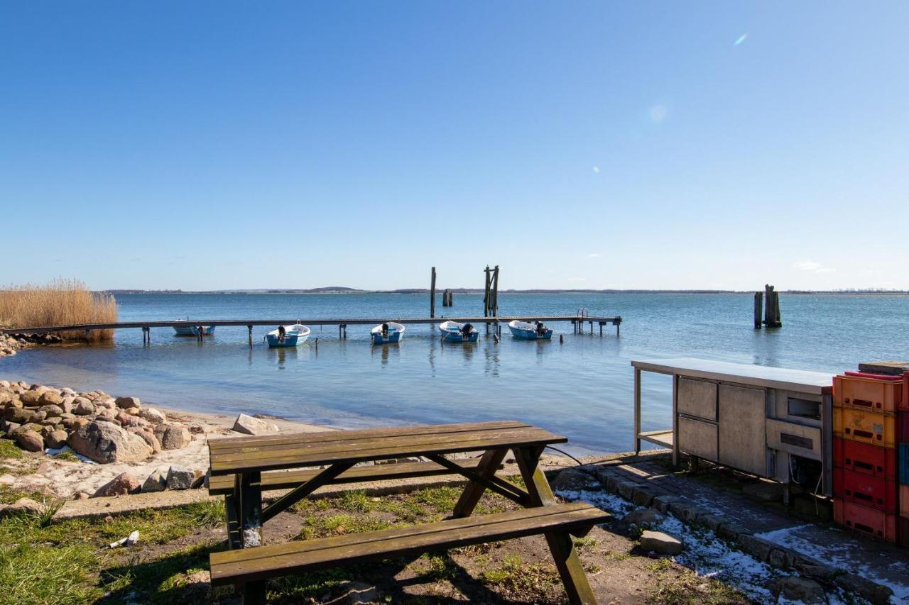 Pension Zur Wittower Faehre Hotel Wiek auf Rügen Eksteriør billede